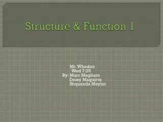 Structure &amp; Function 1