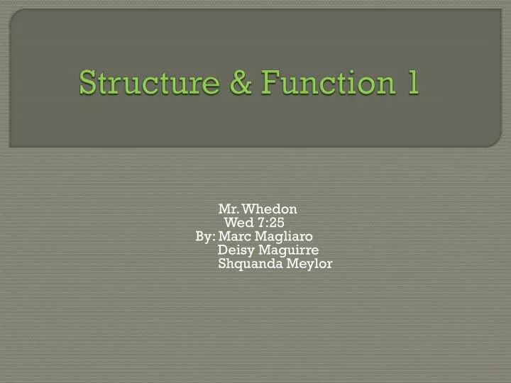 structure function 1