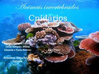 cnid rios
