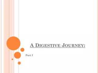 A Digestive Journey: