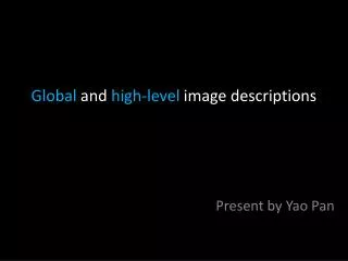Global and high-level image descriptions