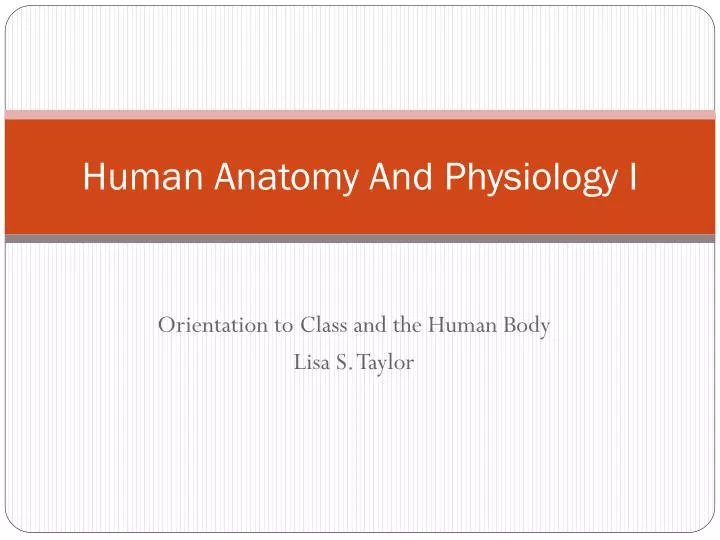 human anatomy and physiology i