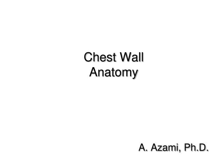 chest wall anatomy