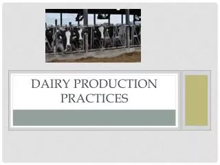 Dairy Production Practices