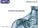 Cintura Escapular - slide 1