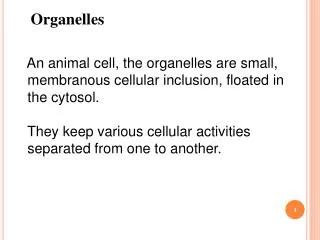 An animal cell, the organelles are small, membranous cellular inclusion, floated in