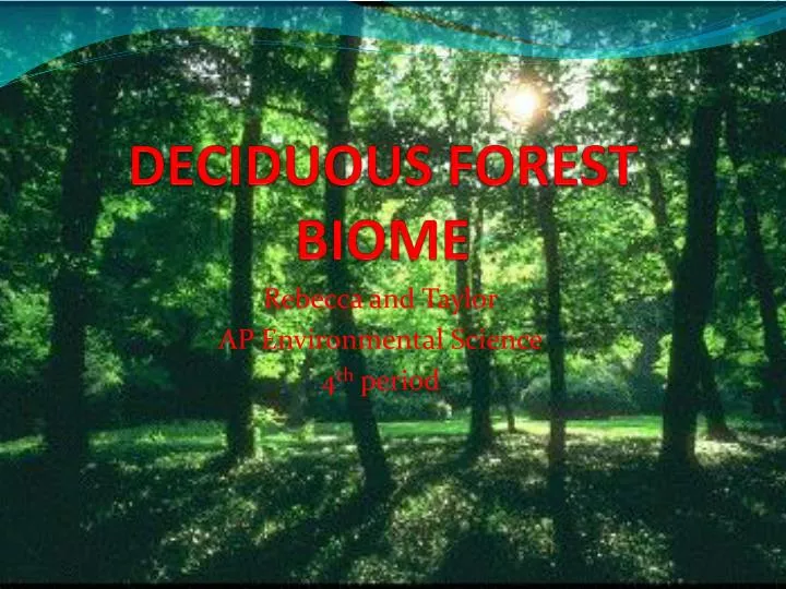 deciduous forest biome