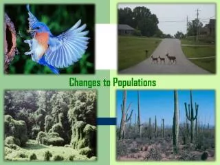 Changes to Populations