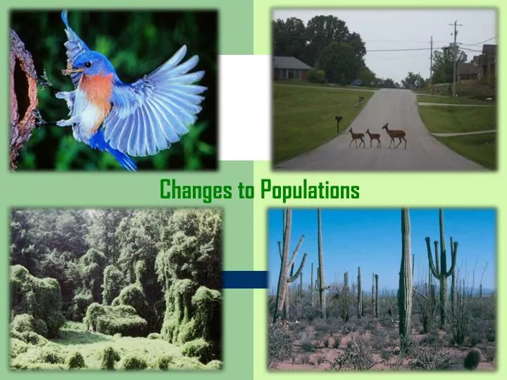 changes to populations