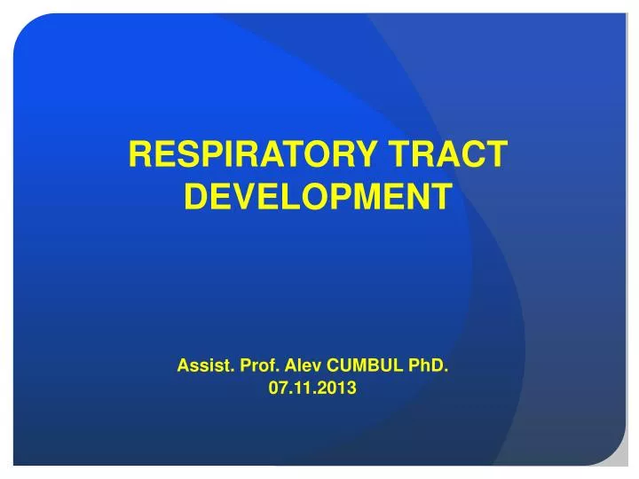 respiratory tract development