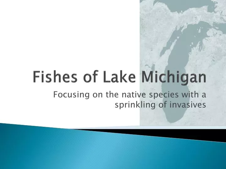 fishes of lake michigan