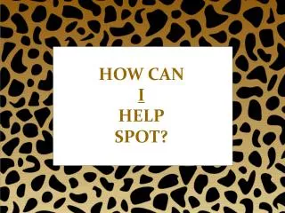 HOW CAN I HELP SPOT?