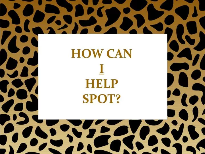 how can i help spot