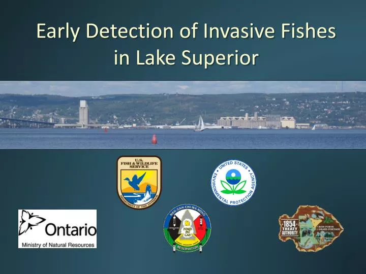 early detection of invasive fishes in lake superior