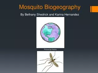 Mosquito Biogeography