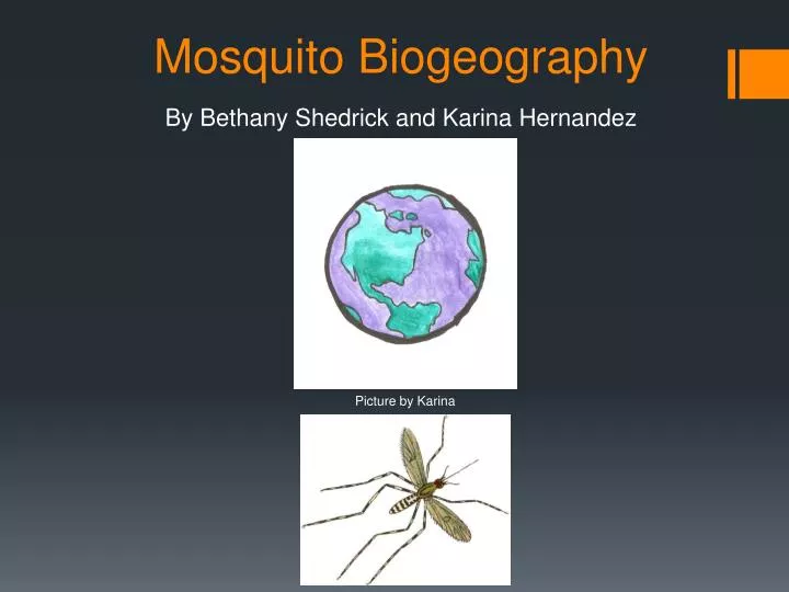 mosquito biogeography