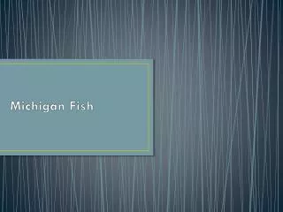 Michigan Fish