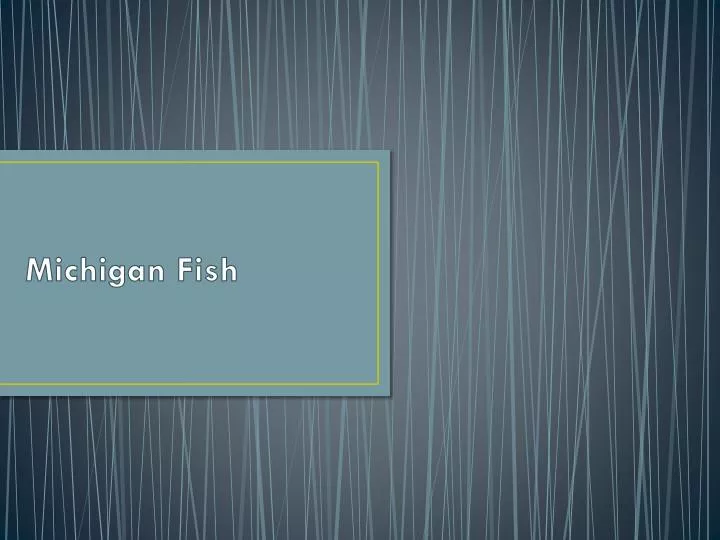 michigan fish