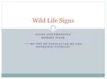 Wild Life Signs