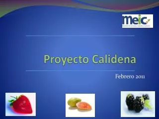 proyecto calidena