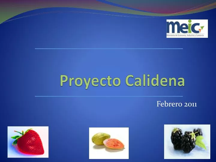 proyecto calidena