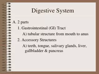 Digestive System