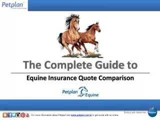 The Complete Guide to Equine Insurance Quote Comparison