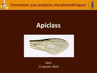 Apiclass