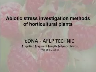 Abiotic stress investigation methods of horticultural plants