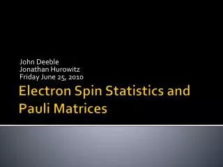 Electron Spin Statistics and Pauli Matrices