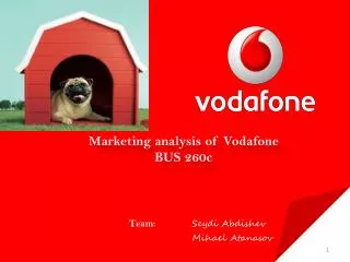 Marketing analysis of Vodafone BUS 260c
