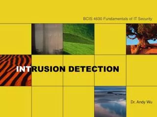 INT RUSION DETECTION