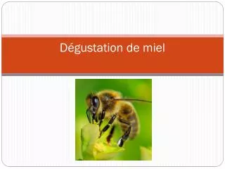 d gustation de miel