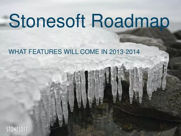 stonesoft roadmap