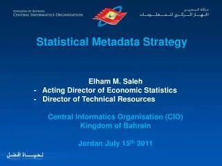 Statistical Metadata Strategy
