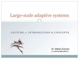 Large-scale adaptive systems