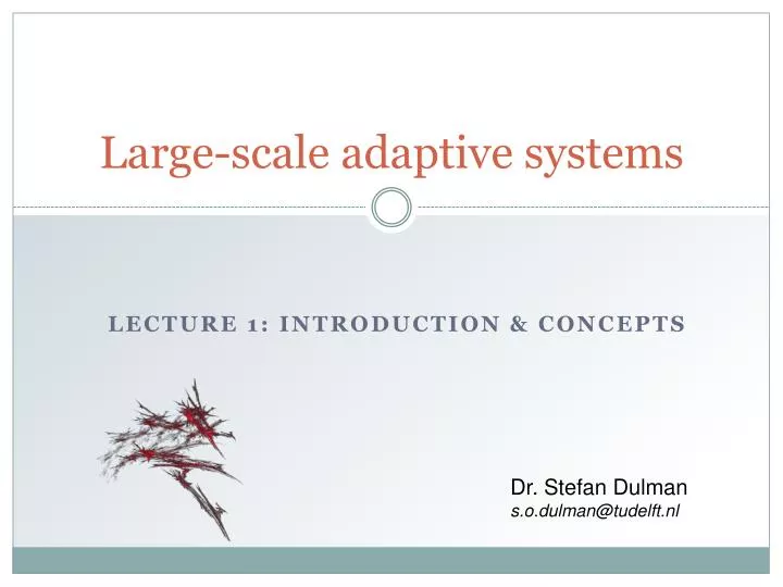 large scale adaptive systems