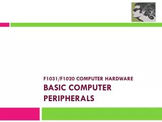F1031/F1020 COMPUTER HARDWARE basic COMPUTER PERIPHERALS