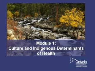 Module 1: Culture and Indigenous Determinants of Health