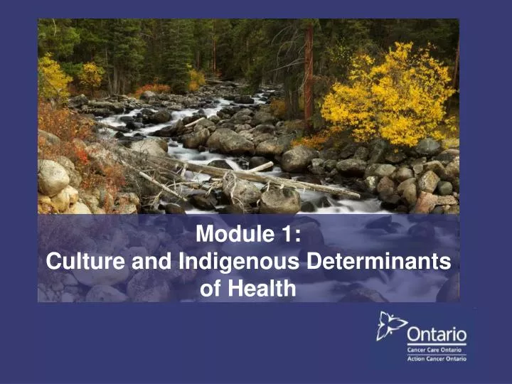 module 1 culture and indigenous determinants of health