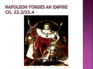 Napoleon Forges an Empire Ch. 23.3/23.4