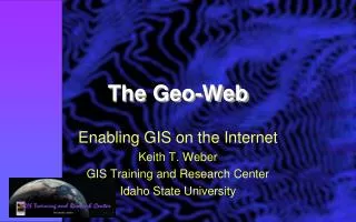 The Geo-Web