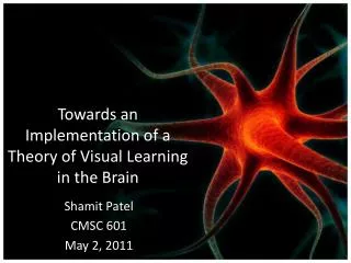 Towards an Implementation of a Theory of Visual Learning in the Brain