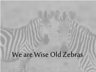 We are Wise Old Zebras
