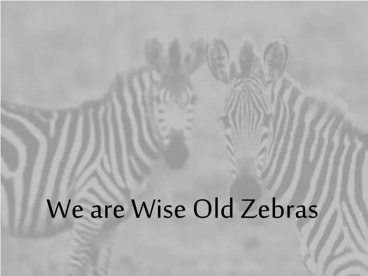 we are wise old zebras
