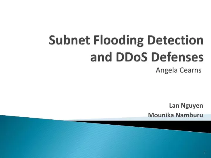 subnet flooding detection and ddos defenses angela cearns