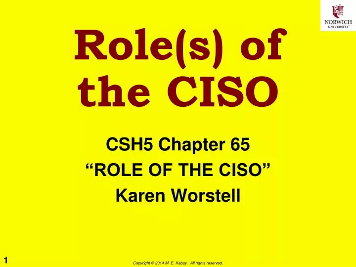 role s of the ciso