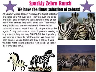 Sparkly Zebra Ranch
