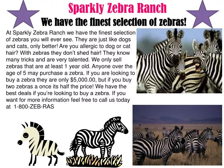 sparkly zebra ranch