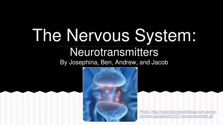 the nervous system neurotransmitters by josephina ben andrew and jacob